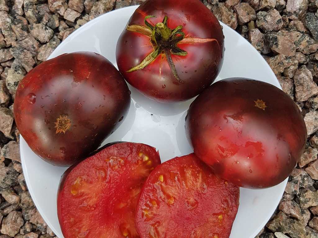 Ametistovoje Serdze (Amethyst Heart)